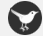 Join us on Twitter